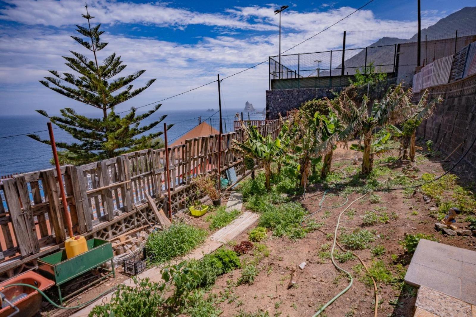 Estudios Kylie Y Evelyn Santa Cruz de Tenerife Exterior photo